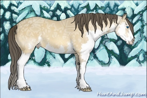 Horse Color:Amber Cream Champagne Ice Splash