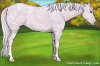 Horse Color:Watercolor Palomino Ice Roan Dun