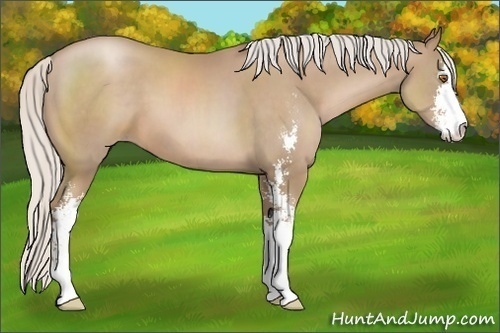 Horse Color:Silver Black Pearl Sabino
