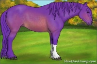 Horse Color:Watercolor Brown 