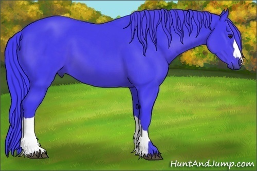 Horse Color:Watercolor Smoky Black 