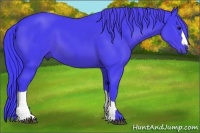 Horse Color:Watercolor Smoky Black 