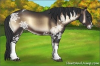 Horse Color:Brown Ice Onyx 