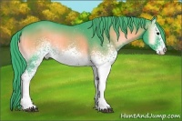 Horse Color:Watercolor White Spotted Blue Onyx