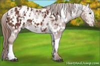 Horse Color:White Spotted Chestnut Ice Blanket 