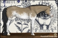 Horse Color:White Spotted Brown Dun 