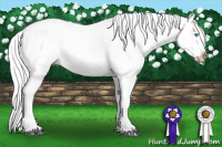 Horse Color:Gray Smoky Creme Splash Tobiano 