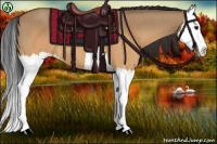 Horse Color:Brown Dun Splash