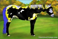 Horse Color:Watercolor White Spotted Black Splash Frame
