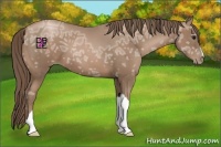 Horse Color:Black Ice Pearl 
