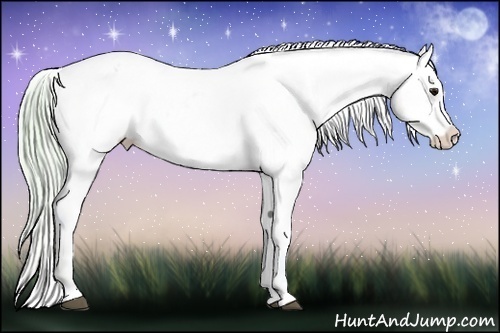 Horse Color:Watercolor Silver Buckskin Ice Onyx Varnish 