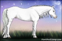Horse Color:Watercolor Silver Buckskin Ice Onyx Appaloosa