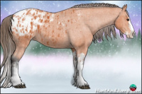 Horse Color:Bay Splash Tobiano Blanket  and Bay Splash Tobiano Blanket 