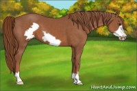 Horse Color:Chestnut Frame