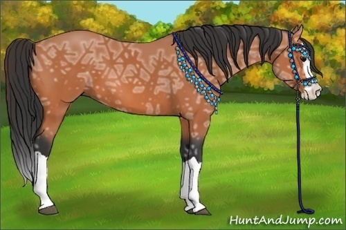 Horse Color:Bay Ice Splash