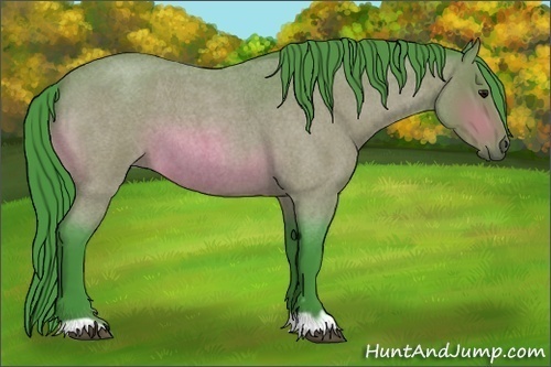 Horse Color:Watercolor Bay Roan 