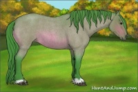 Horse Color:Watercolor Bay Roan