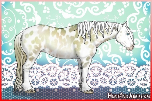 Horse Color:Watercolor Buckskin Pearl Onyx Sabino Appaloosa