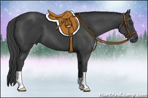 Horse Color:Smoky Black