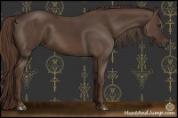 Horse Color:Liver Chestnut Sabino 