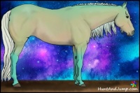 Horse Color:Watercolor Silver Bay 