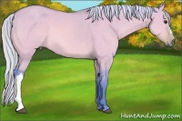 Horse Color:Watercolor Silver Bay Dun
