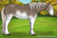 Horse Color:White Spotted Silver Blue Roan Rabicano 