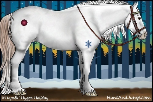 Horse Color:Liver Chestnut Appaloosa 