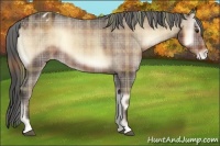 Horse Color:Plaid  Liver Red Onyx Appaloosa 
