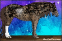 Horse Color:Amber Champagne Ice 