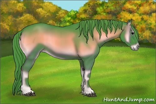 Horse Color:Watercolor Blue Onyx 