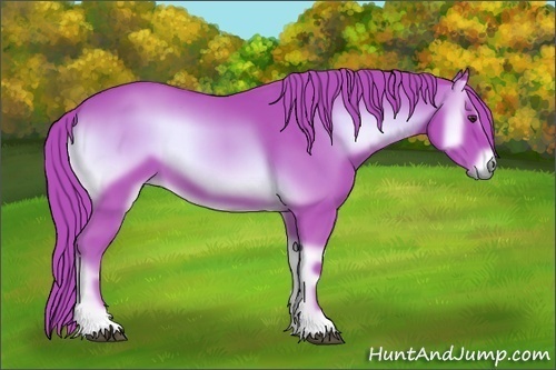 Horse Color:Watercolor Red Onyx 