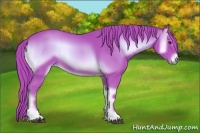 Horse Color:Watercolor Red Onyx 