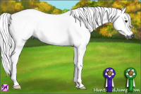 Horse Color:Gray Black 