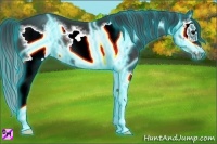 Horse Color:Thunderstruck Brown Splash Frame 