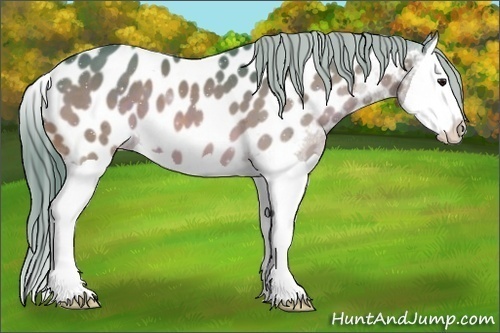 Horse Color:Watercolor Brown Splash Near Leopard 
