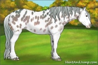 Horse Color:Watercolor Brown Splash Near Leopard 
