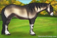 Horse Color:Brown Onyx