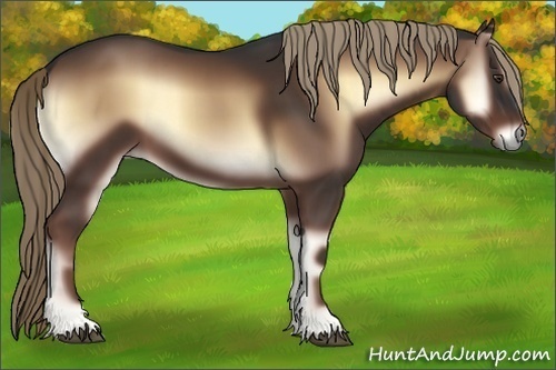 Horse Color:Liver Red Onyx 