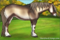Horse Color:Liver Red Onyx 