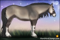 Horse Color:Smoky Blue Onyx 