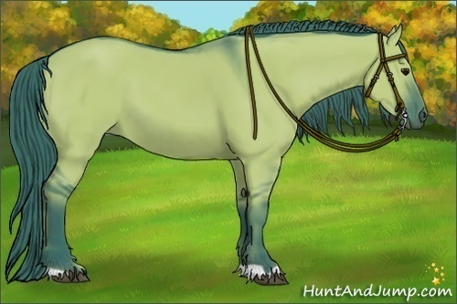 Horse Color:Watercolor Grullo 