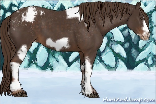 Horse Color:Liver Chestnut Tobiano Frame Varnish