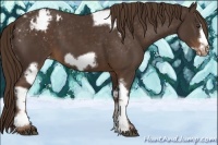 Horse Color:Liver Chestnut Tobiano Frame Appaloosa