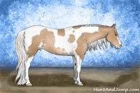 Horse Color:Silver Black Pearl Sabino Tobiano Rabicano