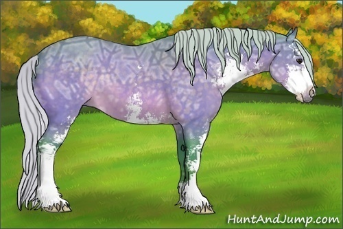 Horse Color:Watercolor Silver Bay Ice Sabino