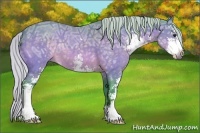 Horse Color:Watercolor Silver Bay Ice Sabino 