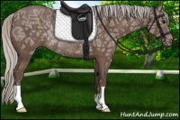 Horse Color:Silver Black Ice Rabicano