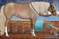 Horse Color:Red Roan 