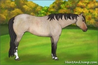 Horse Color:Bay Roan Dun Sabino 